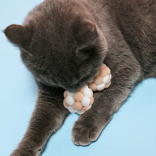 캣트리 고양이장난감 공 6p세트(화이트)