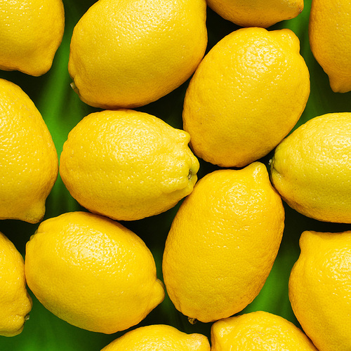 [가락마켓] 미국산 레몬 17kg(130-140과) (중)