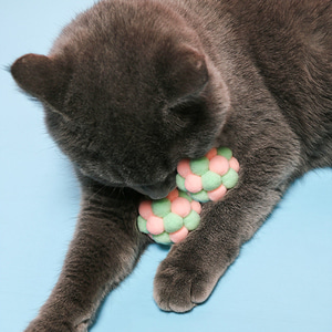 캣트리 고양이장난감 공 6p세트(핑크)