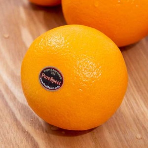 [초록자연] 고당도 오렌지 5kg(25과)
