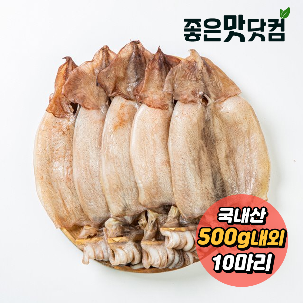 [청정바다] 국내산 반건조 오징어(10마리) (500g 내외)