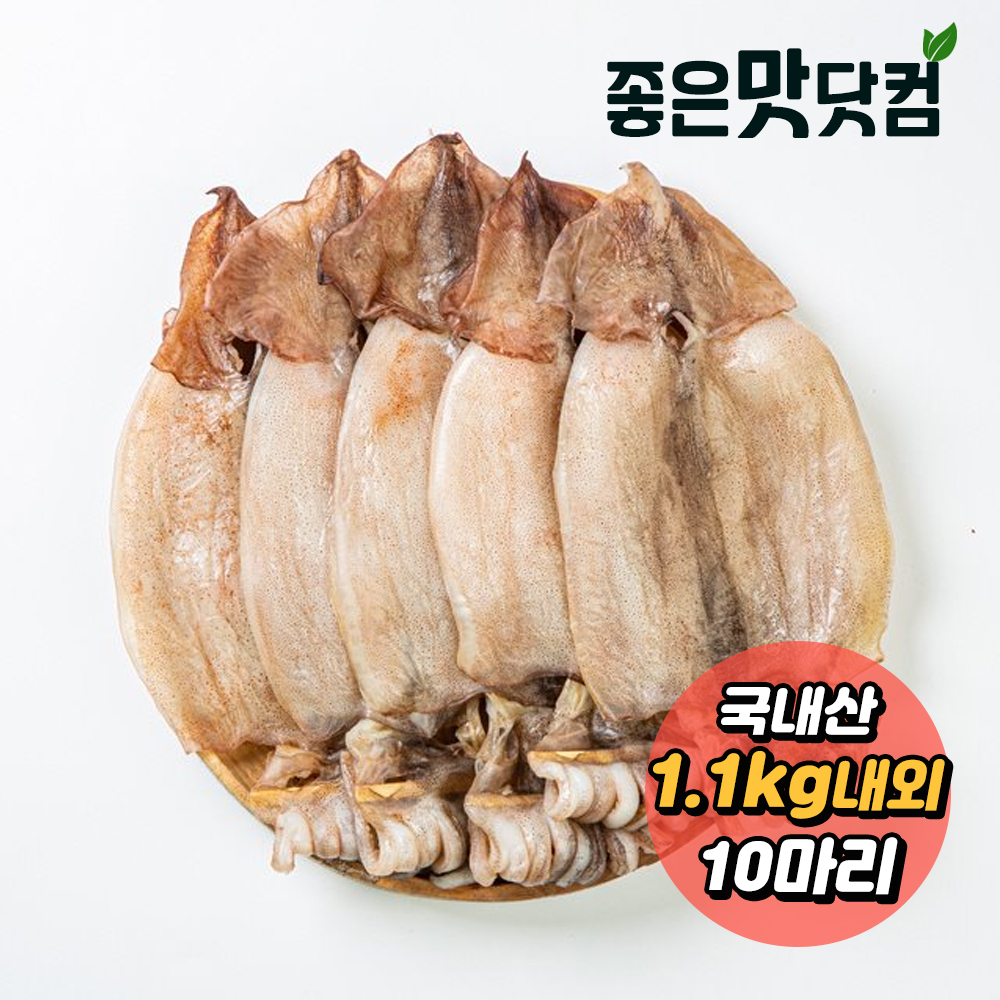 [청정바다] 국내산 반건조 오징어(10마리) (1.1kg 내외)