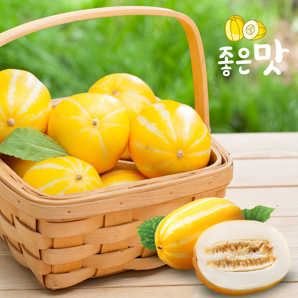 [가락마켓] 아삭달콤 성주 꿀참외 5kg (16-20과)